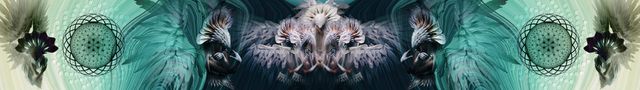 Angelic Coven by Wildcard