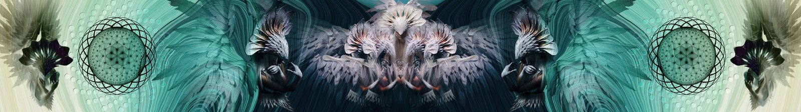 Angelic Coven by Wildcard