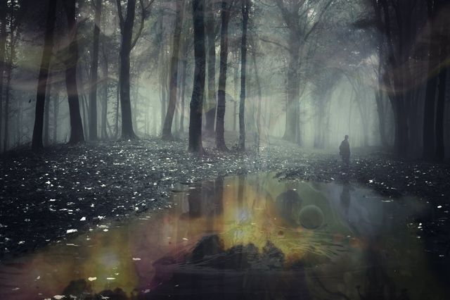 Celestial-Forest-01 by Wildcard