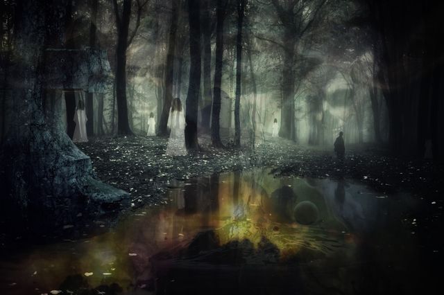 Celestial-Forest-02 by Wildcard