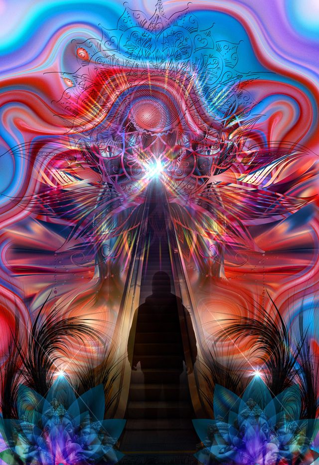 Conscious Pathways Through by Wildcard