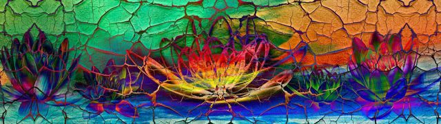 Cracked-Lotus by Wildcard