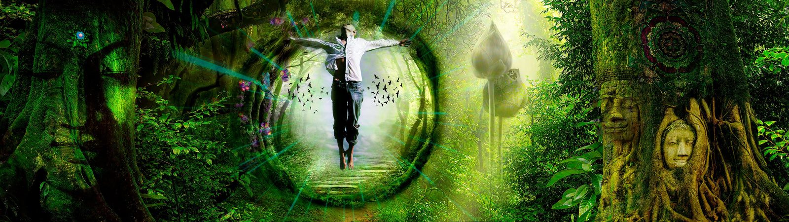 DeepForest by Wildcard