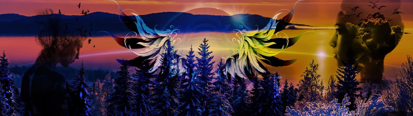 Horizons by Wildcard