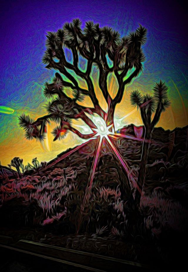 Joshua-Tree-Sunset-Purples-06d by Wildcard