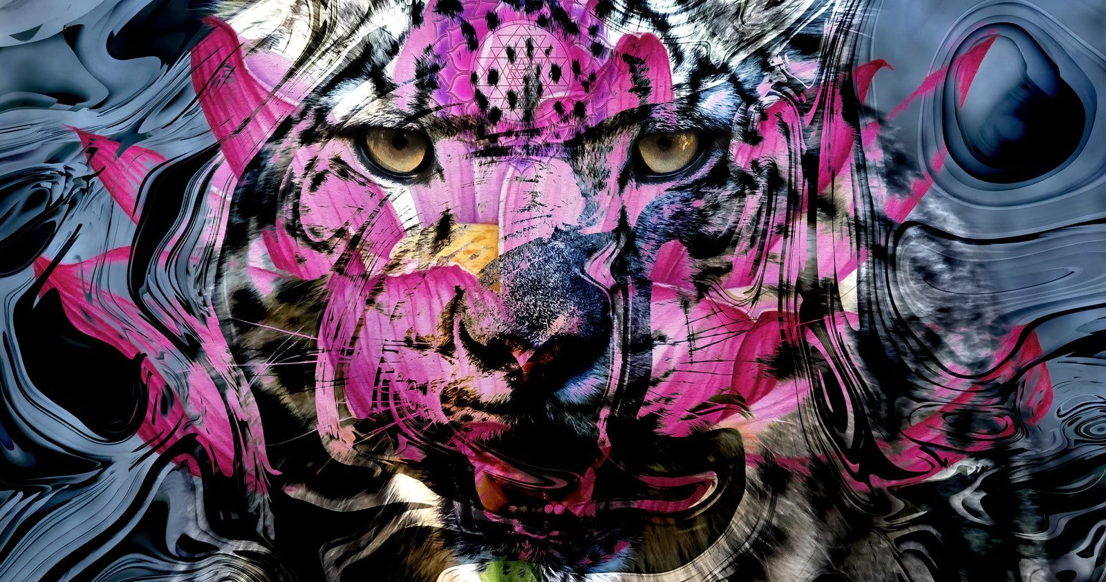 Lotus & The Wildcat by Wildcard