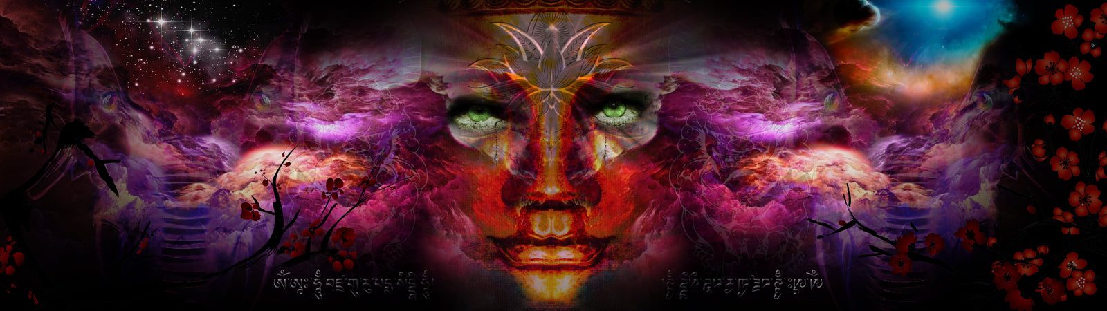 Mystic Connection by Wildcard
