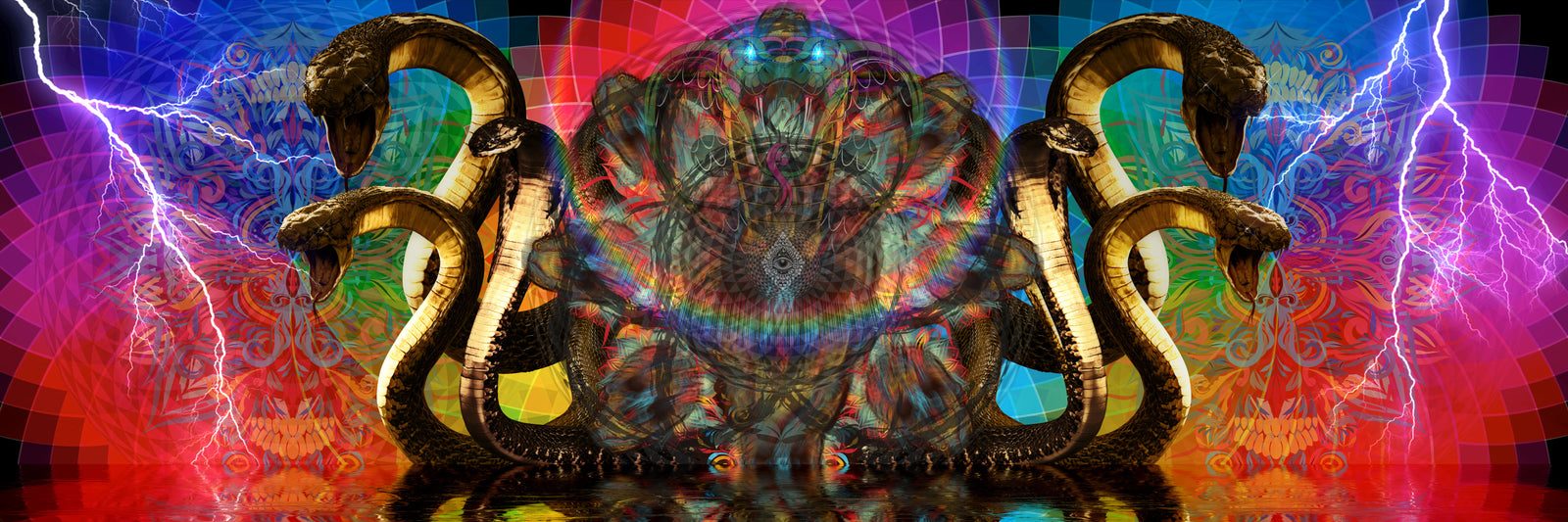 Rainbow Serpant Warriors by Wildcard