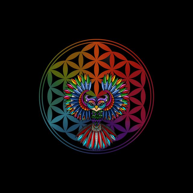 Sacred-Love-for-Geometry-V88 by Wildcard