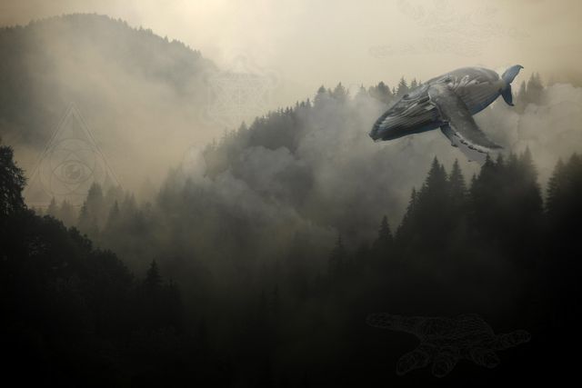 The Dark Forest Below by Wildcard