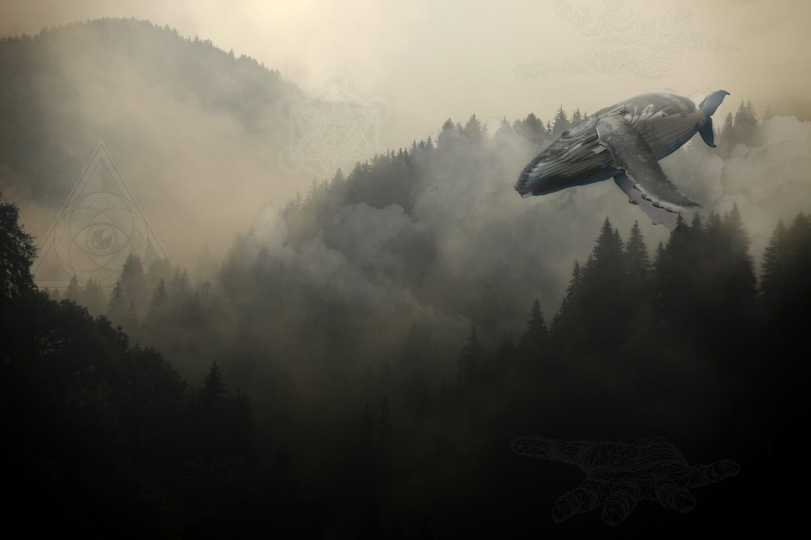 The Dark Forest Below by Wildcard