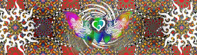 Turkish Love Moth by Wildcard